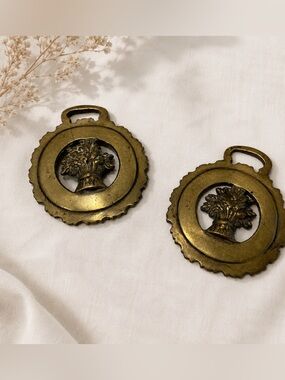 2 Martingale medallions in brass